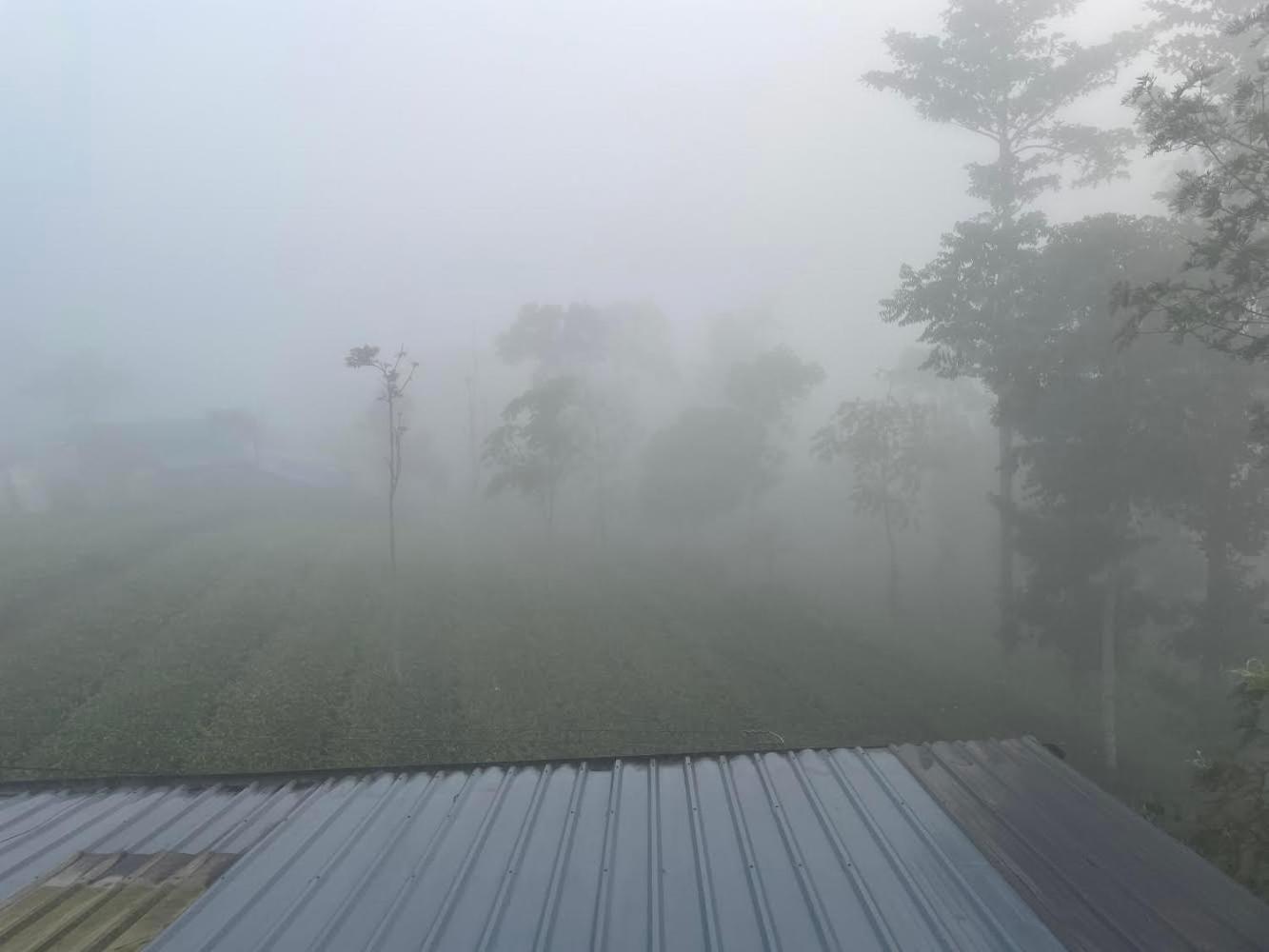 Best Mist Idukki Exterior photo