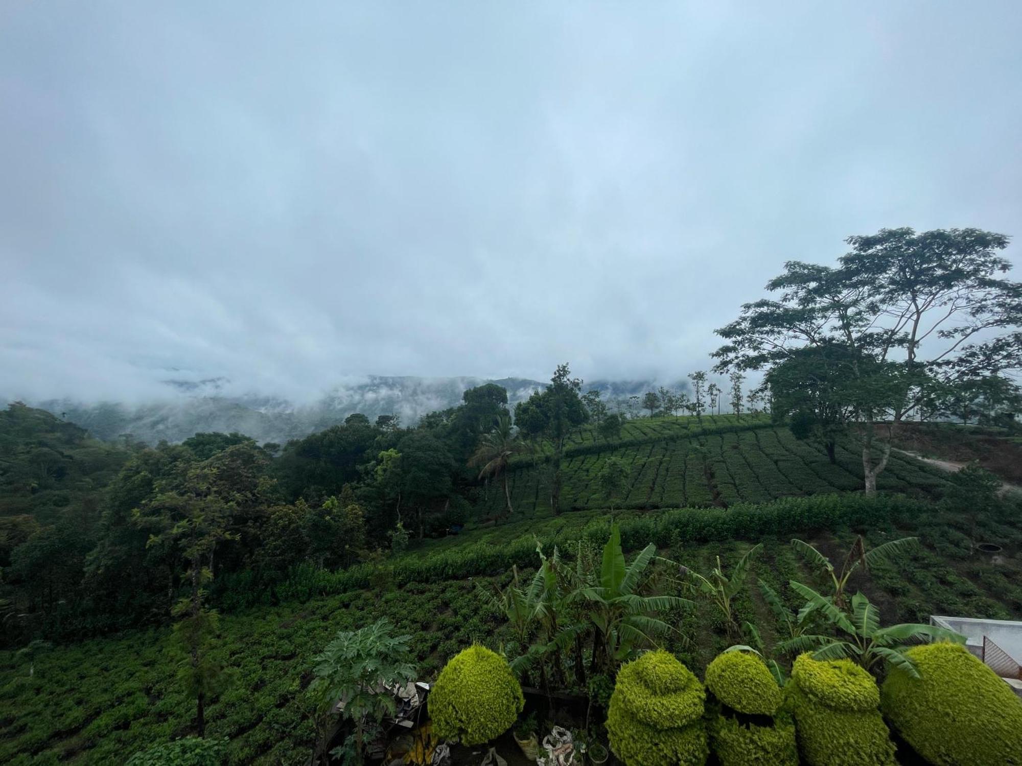 Best Mist Idukki Exterior photo