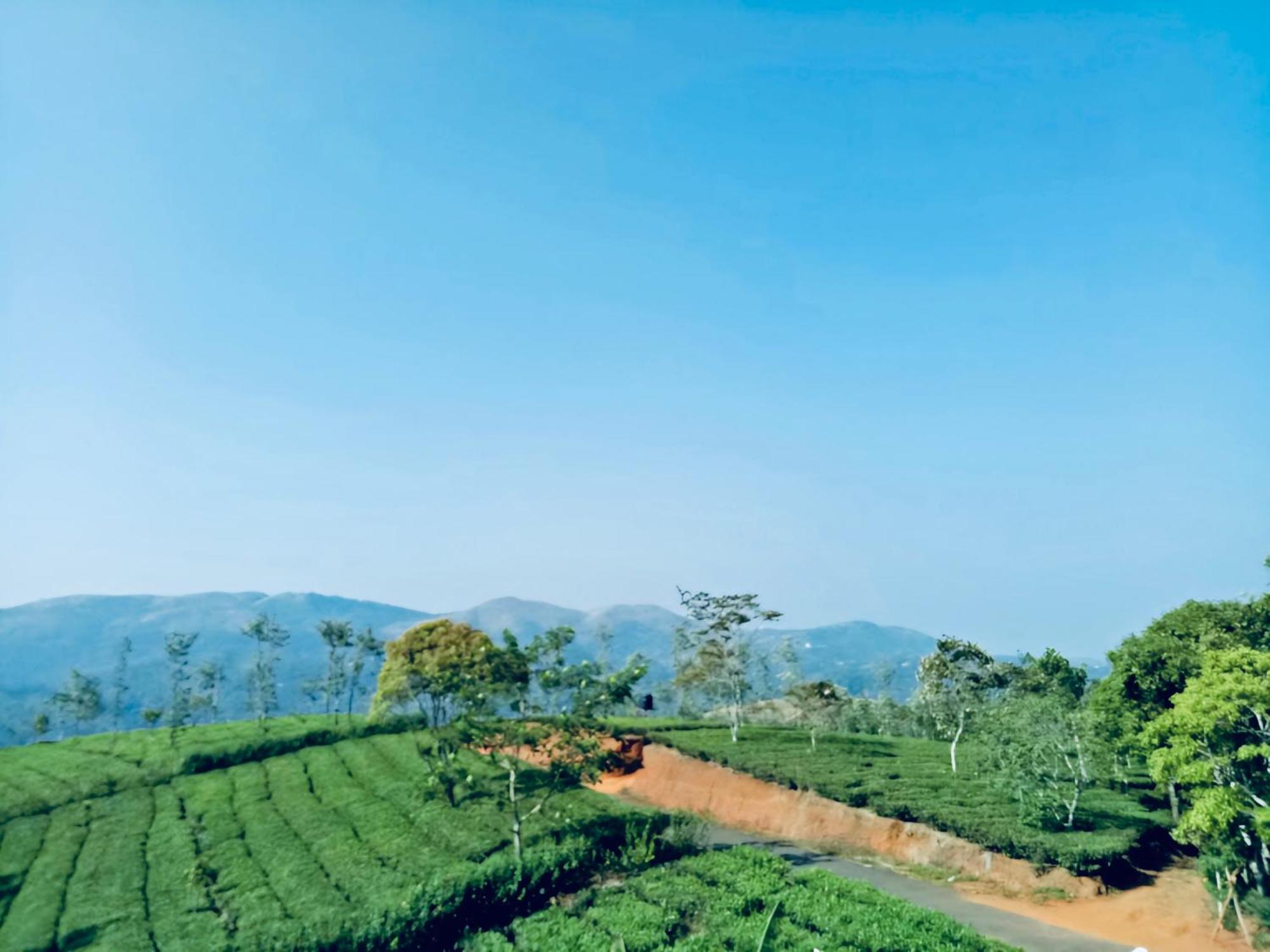 Best Mist Idukki Exterior photo