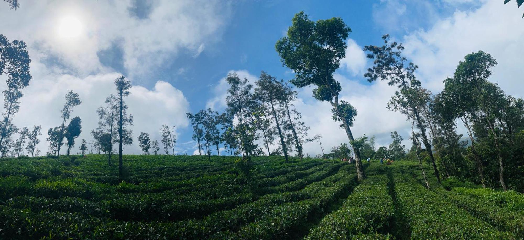 Best Mist Idukki Exterior photo