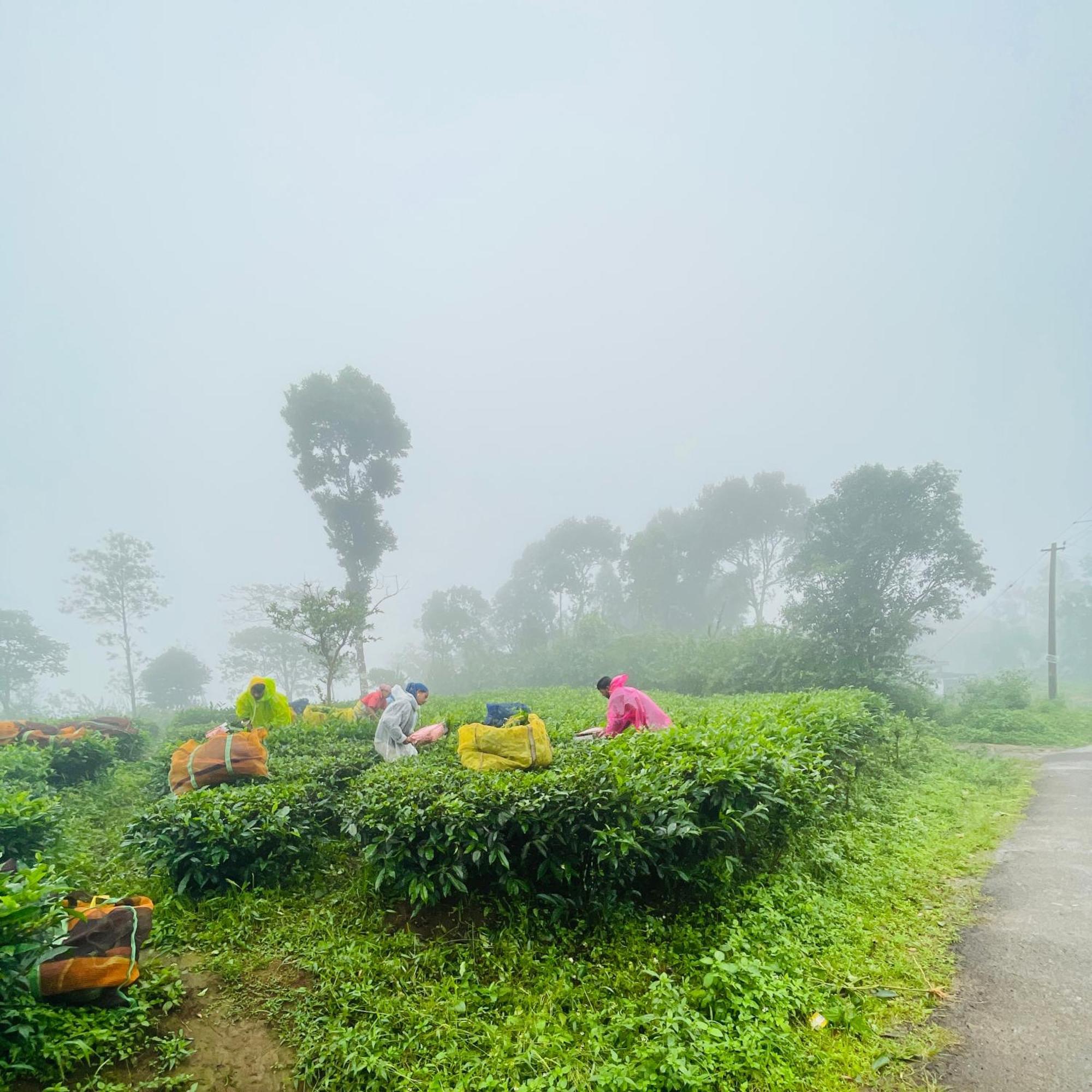Best Mist Idukki Exterior photo